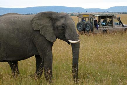 rafiki-safari-e-zanzibar-199_0.jpg