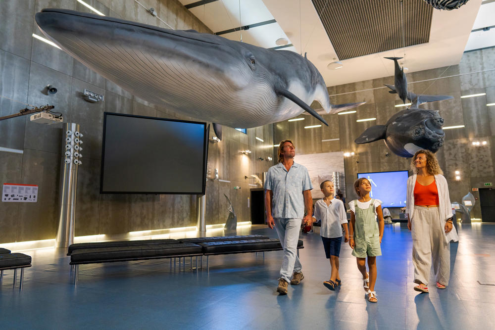 Museu da Baleia-Canical0002©Ricardo Faria Paulino